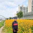 명태덕장 이미지