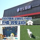 GS25 평택유보라점 | 평택 애견 카페 안중 멍토피아 애견카페 후기 | 호텔링도 가능한 강아지가 더 좋아하는 공간