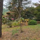 삼동담배집 이미지