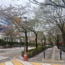 큰우물길 이미지