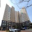 선운해광 이미지