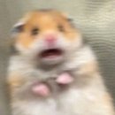 대호태권도 이미지