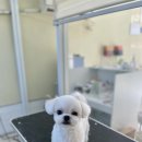 마음이네 멍발소 이미지