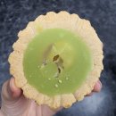[제주] 서귀포 매일 올레시장 맛집 먹거리 선물 추천 내돈 내산