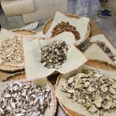 한방꽃차 소믈리에 교육과정 | 2025년 "한국티소믈리에 1급 자격증 취득", 한국티소믈리에 광주 교육원