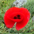 (주)온들에 이미지