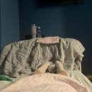 위드메드 | 제왕절개 2일차 후기 (불에 타는 고통)