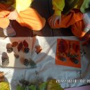 동초병설유치원 이미지