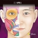 성보성형외과 티스토리