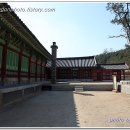 수원-0555 티스토리