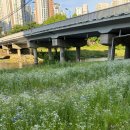 깐부치킨(안양덕천점) 이미지