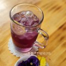 자흘연한방약선차