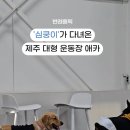 카페몽몽 이미지