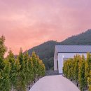 키즈풀빌라 소풍 이미지