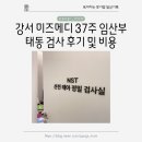 강서구-37 | 강서 미즈메디 37주 임산부 태동 검사 후기 및 비용 / 긴 글 주의