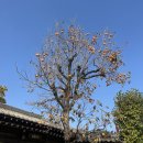 삼삼뼈국 성북동점 이미지