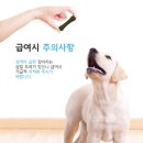 형덴탈재료 | [강아지덴탈껌추천]본어민트 웁스펫 펫타민 덴탈껌 강아지치석제거 강아지입냄새제거
