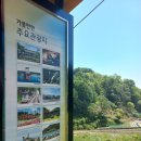 국수나무 용화점 | 해파랑 29코스(호산-용화)