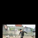 오골계식당 이미지