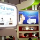 르네셀 이미지