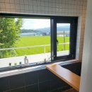 스테이 댕댕 이미지