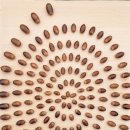 유목 | 화가 이응우의 자연미술 이야기, 독일 예술유목 후기 2