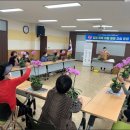 감정 톡톡, 마음 힐링 더 한국타임즈