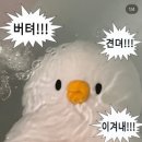 광진전자 | 갤럭시 휴대폰 배터리 교체 가격 소요시간 삼성전자서비스 광진센터 예약 방문 솔직 후기