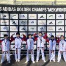 태백태권도장 이미지