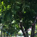 그리고 캠핑장 이미지