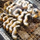 비장어 장어 이미지