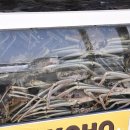 속초대게마을 이미지