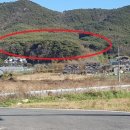 옹진군덕적면서포리보건진료소 | 인천광역시 옹진군 덕적면 서포리 산246 임야 경매