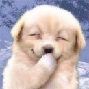 송도안경아울렛(5공구점) 이미지