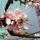 수정하우스2 이미지