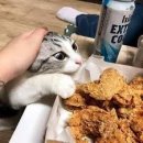 씨네마맥주 대구월곡점 이미지