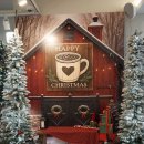 밀락 루체페스타와 광안 드론쇼를 보러 가며 이미지