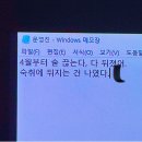 부강수산 | 4월 일상 1 :: 봄이 온건가,,,?