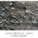 부산 동삼동 패총 이미지