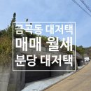 하이엔드부동산중개법인주식회사 | 분당 하이엔드 대저택!! 금곡동 단독주택 매매 전세 월세