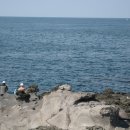 올레길과는 다른 바다위 산책로가 제주 주얼리펜션 앞에 조성중입니다. 이미지