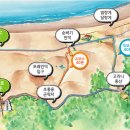 해안사구 이미지