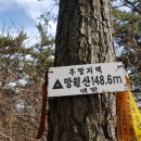 망월축사 Daum카페