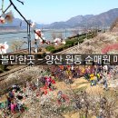 원동이네