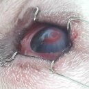 마루종합동물병원 이미지