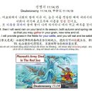 안경명가 네이버블로그