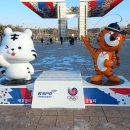 호돌이카 이미지