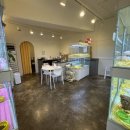 퍼스트펫 이미지