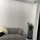 더살롱에스트