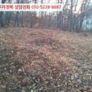 불은면-9 네이버블로그